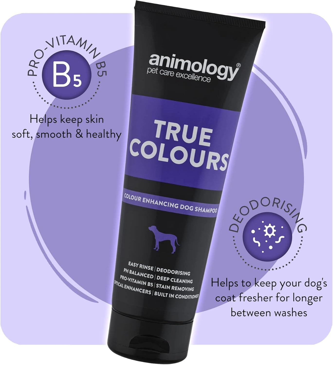 Animology True Colours Coat Enhancing Dog Shampoo 250ml : Amazon.co.uk: Beauty