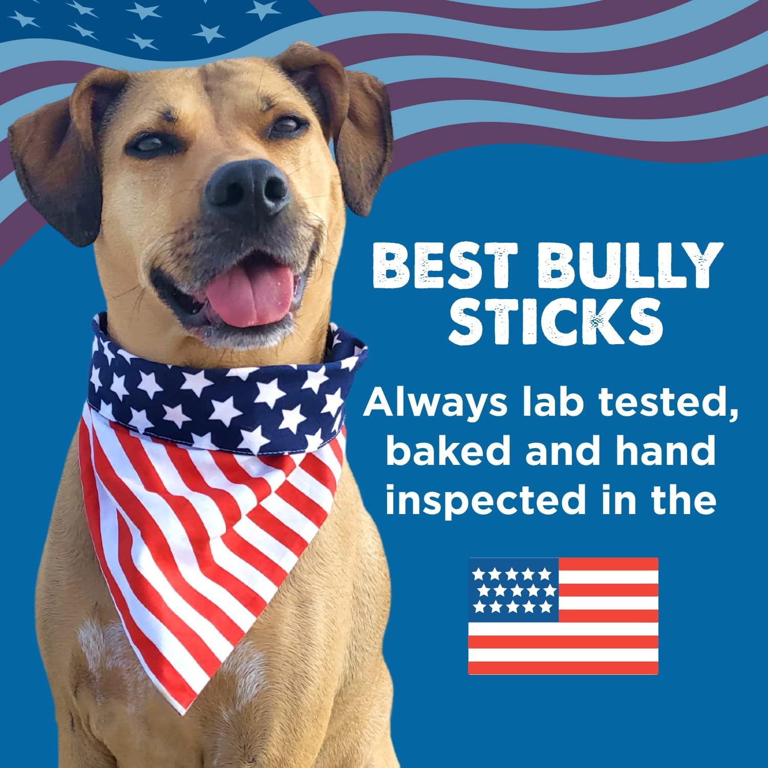 Premium Real Beef Dog Treats - Bully Snap Stick, 12 Pack - 100% Natural, No Additives - Reward, Puppy & Dog Training Treats - USA Packed - Healthy, Easy to Digest, Rawhide-Free, High Protein : Pet Supplies