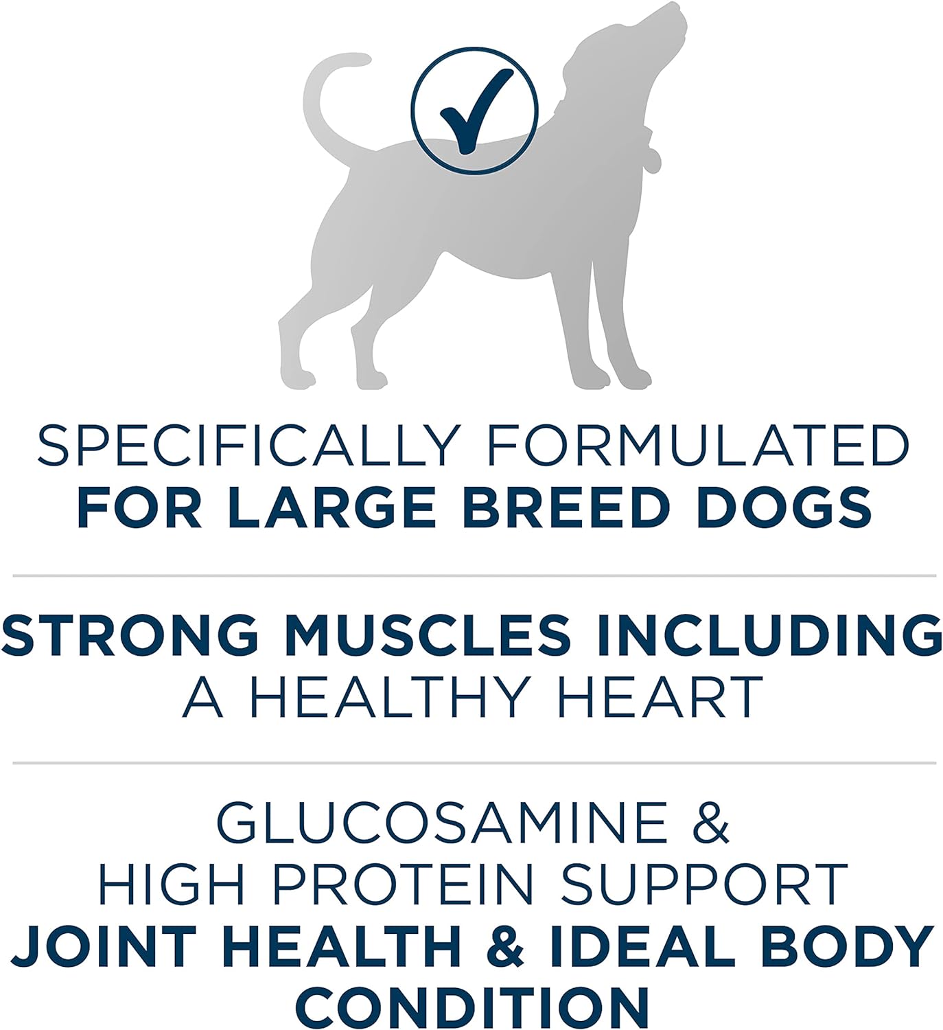 Purina ONE Plus Large Breed Adult Dog Food Dry Formula - 40 lb. Bag : Pet Supplies