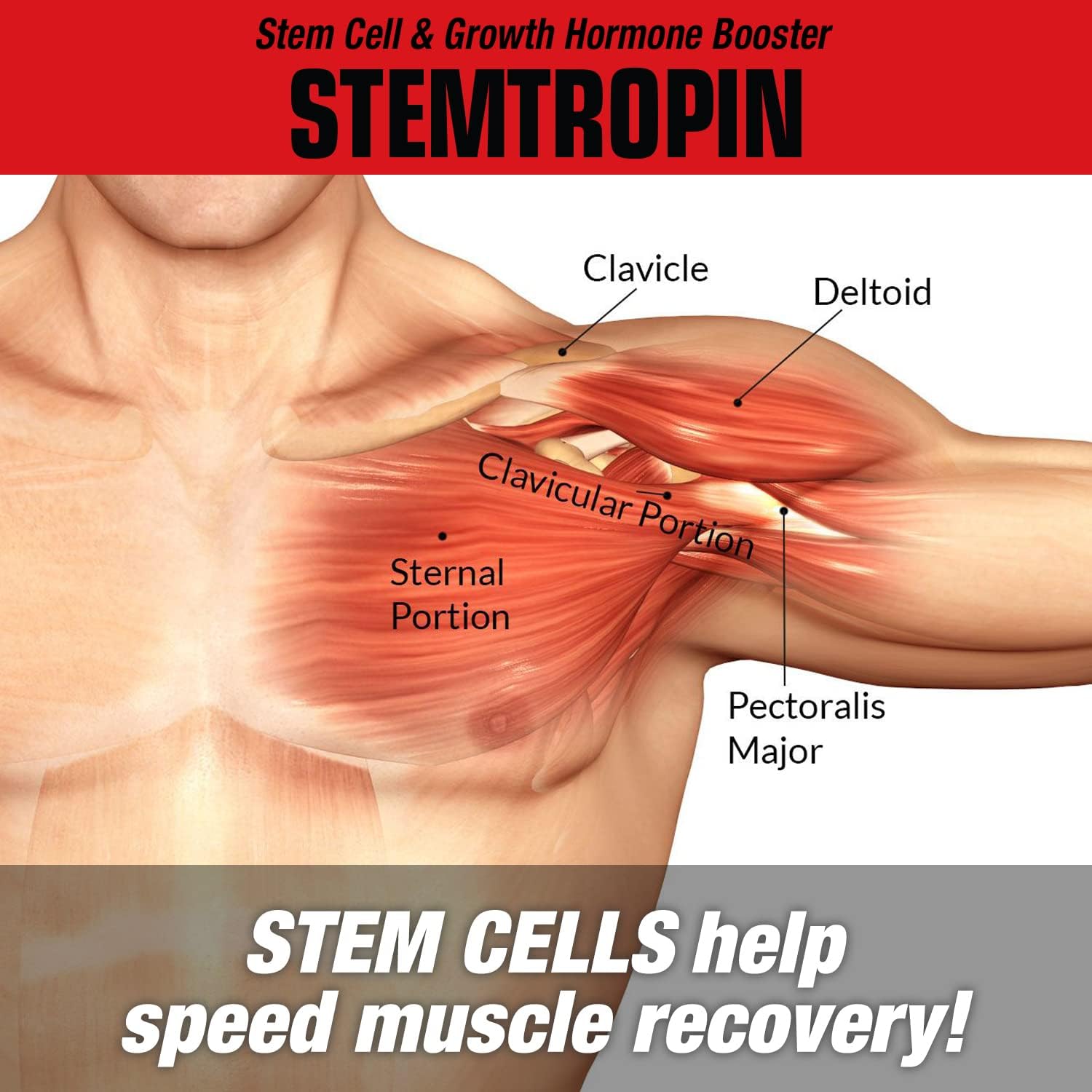 Musclemeds Stemtropin Stem Cell & Growth Factor Booster, Natural Supplement For Performance Enhancement & Anti-Aging, Muscle Building And Recovery, 60 Veggie Capsules : Health & Household