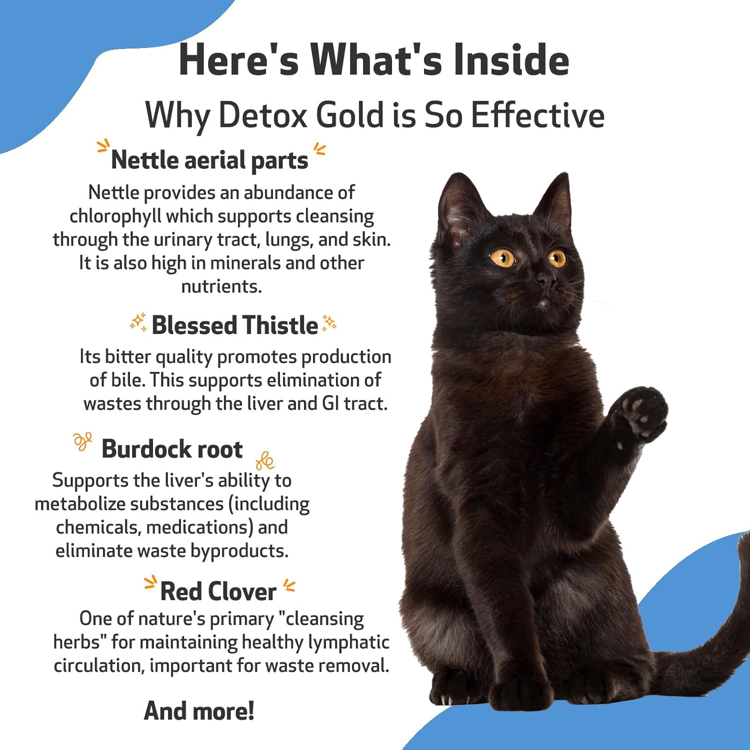 Pet Wellbeing Detox Gold for Cats - Vet-Formulated - Gentle Detoxification & Elimination Support - Natural Herbal Supplement 2 oz (59 ml) : Pet Supplies