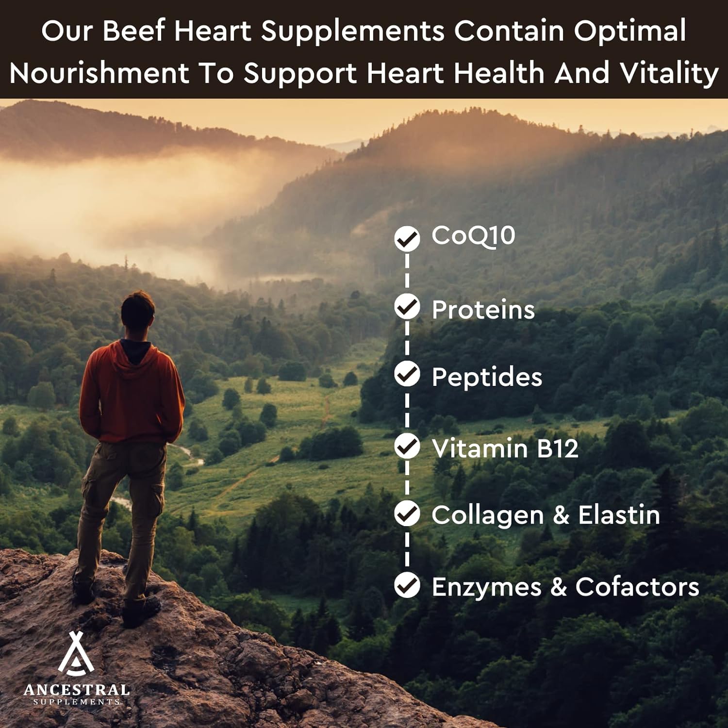 Ancestral Supplements Grass Fed Beef Heart Supplement, 3300mg, CoQ10 Supplement with Grass Fed Beef Liver, Supports Energy, Immune, Heart and Mitochondrial Health, Non GMO, 180 Capsules : Health & Household