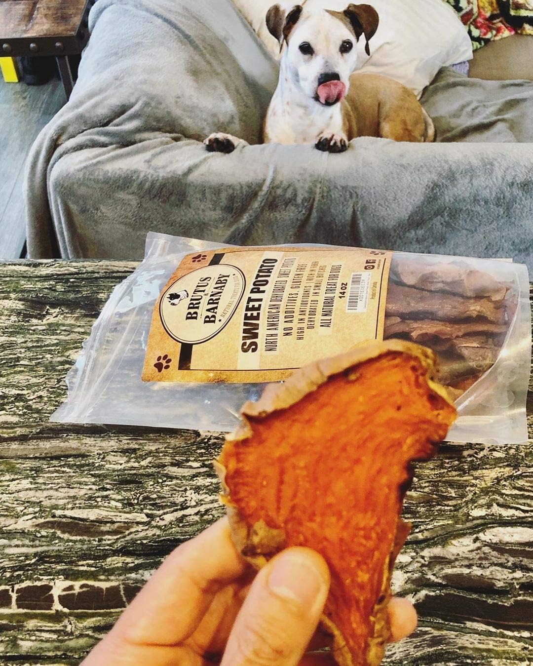 Sweet Potato Slices For Dogs - Half Slices, 5 lbs - Single Ingredient Grain Free Dog Treats, Best High Anti-Oxidant Healthy 100% Natural Thick Cut Dried Sweet Potato Dog Treats, No Added Preservatives : Pet Supplies