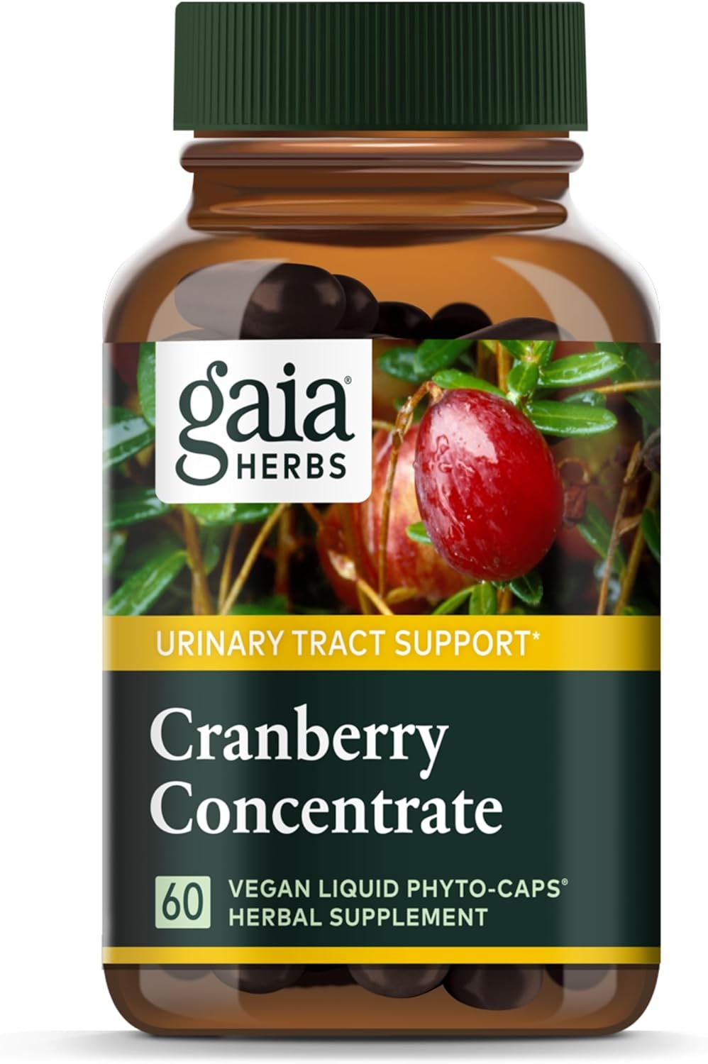 Gaia Herbs Cranberry Concentrate - Helps Maintain Urinary Tract Health - Made With Organic Cranberry Fruit Juice Extract In Convenient Capsules - 60 Vegan Liquid Phyto-Capsules (30-Day Supply)