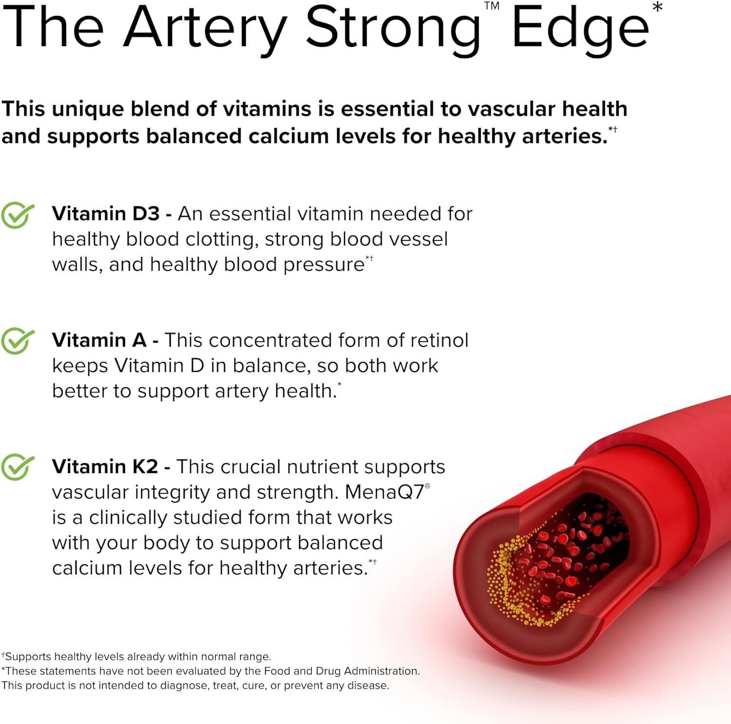 Terry Naturally Artery Strong - 60 Softgels - Supports Blood Vessel Elasticity & Arterial Wall Strength - Non-GMO, Gluten Free - 60 Servings : Health & Household