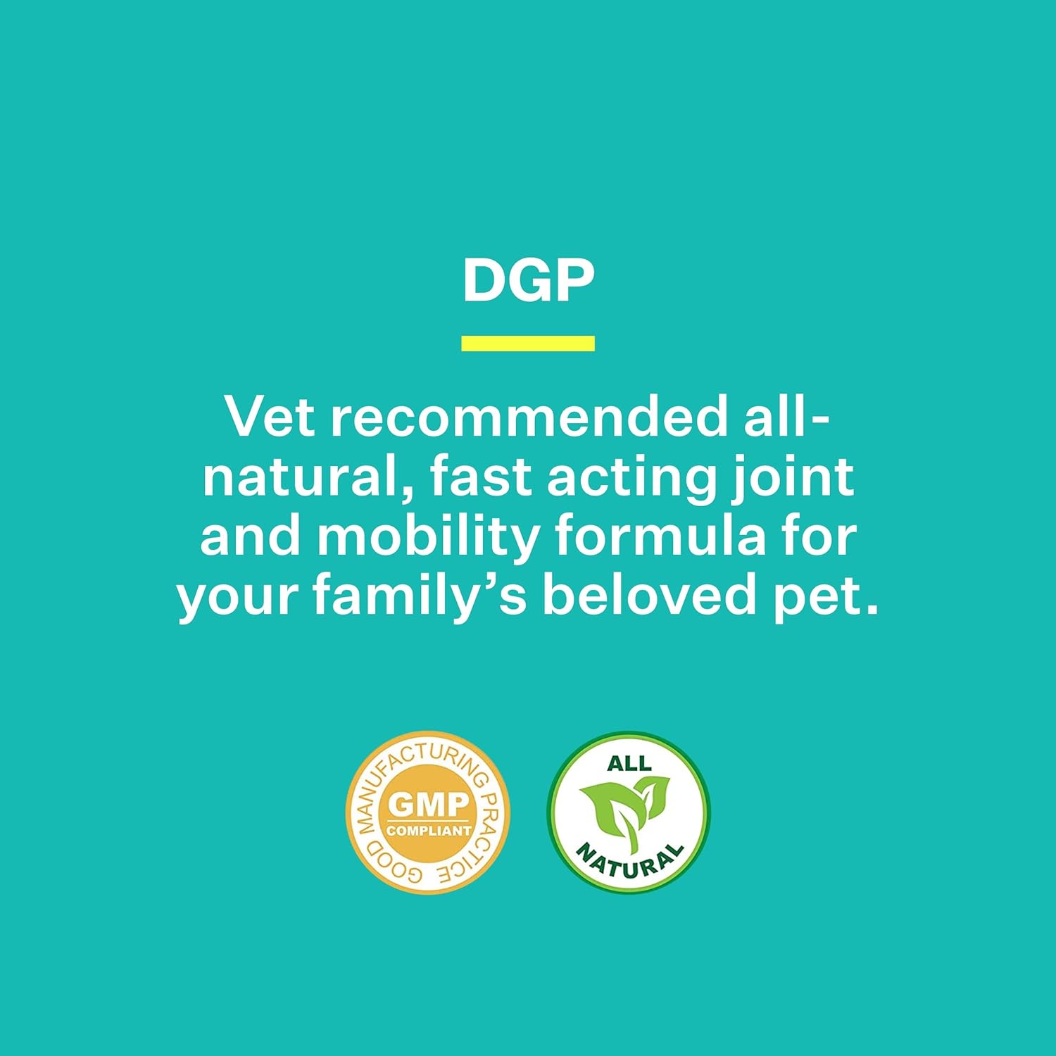 American BioSciences DGP, All-Natural Joint Supplement for Dogs - Joint Support with Turmeric, Boswellia Extract & More - Quick Effect for Immediate Mobility Support - 60 Chewable Pet Tablets : Pet Bone And Joint Supplements : Pet Supplies