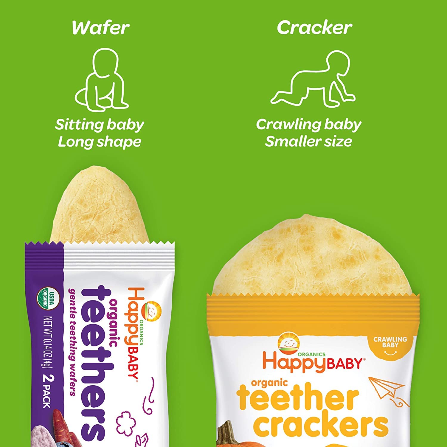 Happy Family Baby Gentle Teethers Organic Teething Wafers , 0.14 Ounce Packets (Box of 12) Soothing Rice Cookies for Teething Babies Dissolves Easily Gluten Free No Artificial Flavor : Everything Else