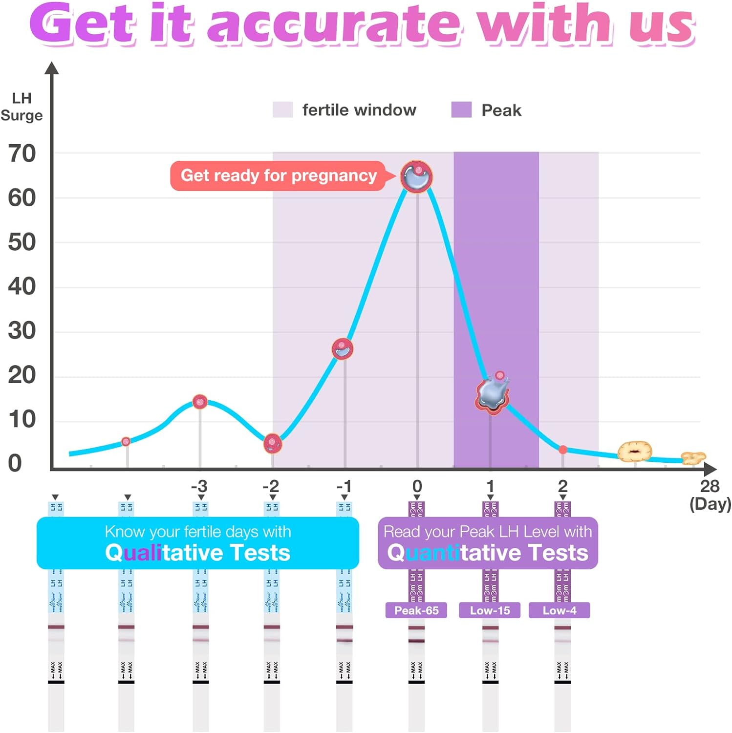 Premom Quantitative Ovulation Predictor Kit?40 Ovulation Tests + 10 Pregnancy Tests - Advanced Ovulation Test Strips Combo 40LH+10HCG Test : Health & Household