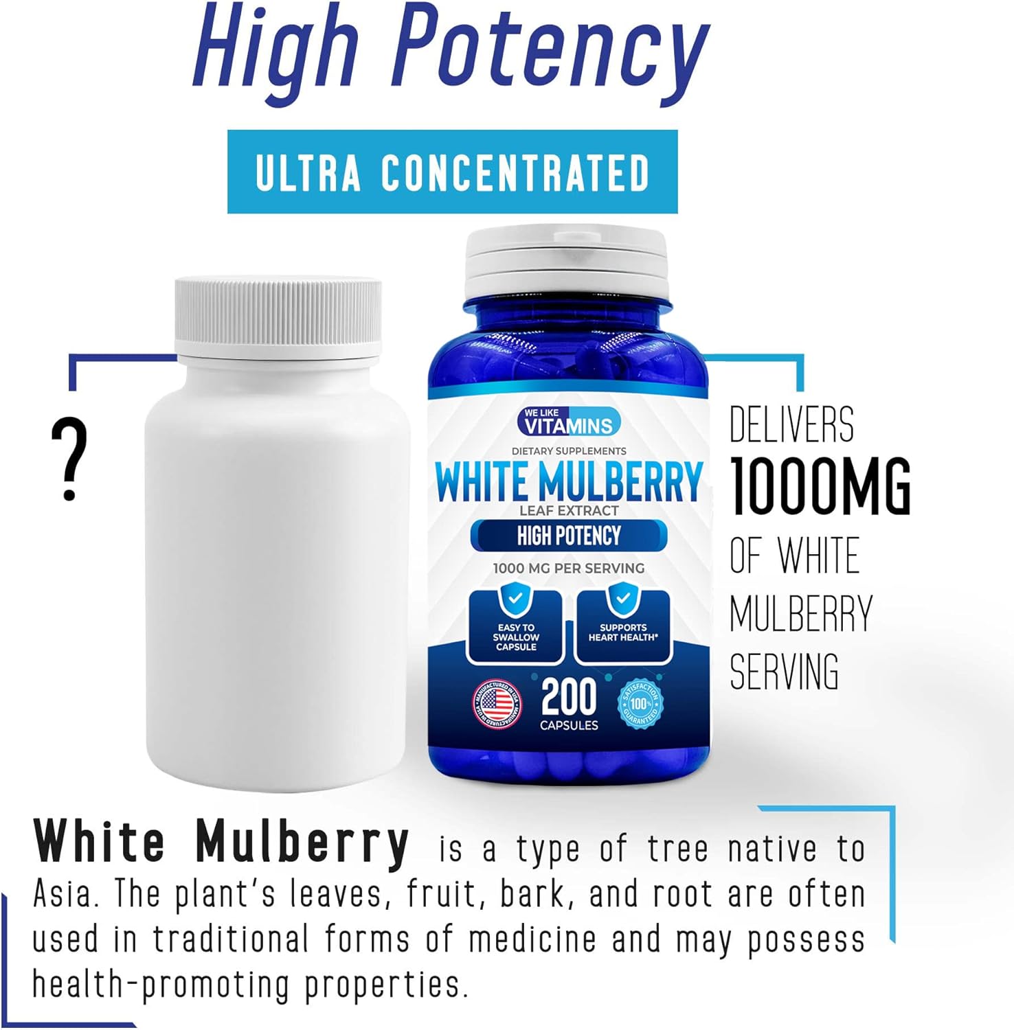 We Like Vitamins White Mulberry 1000mg – 200 Capsules – White Mulberry Supplement : Health & Household