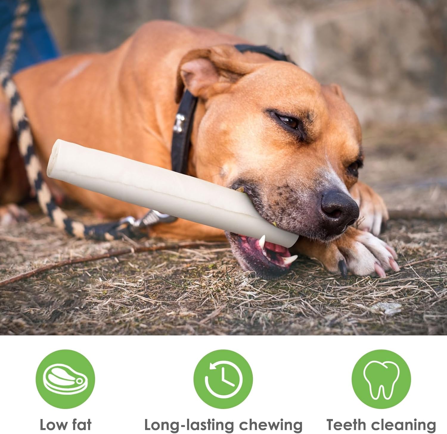 MON2SUN 9 Inch Dog Rawhide Rolls, Teeth Cleaning and Long Lasting Dog Chews for Large Dogs, Single Ingredient and Natural Rawhide Rolls, 26.46oz (6 Count-Pack of 1) : Pet Supplies