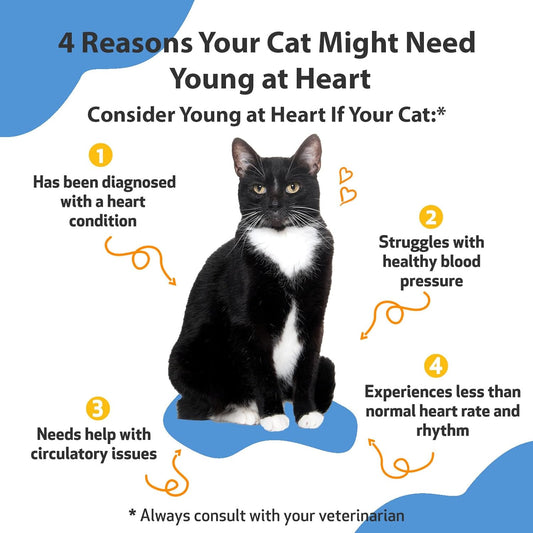 Pet Wellbeing Young At Heart For Cats - Vet-Formulated - Supports Cardiovascular System | Heart & Circulatory Health - Natural Herbal Supplement 2 Oz (59 Ml)