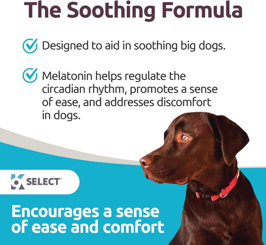 K9 Select Melatonin For Dogs - 6Mg, 90 Beef Flavored Chewable Tablets - Melatonin For Small To Large Dog Breeds - Quiet Moments & Composure Assist - Dog Melatonin Treats - Melatonin Dog Treats