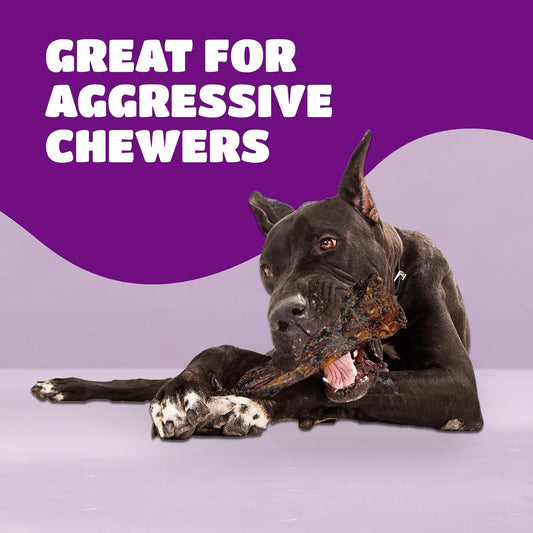 Liver Coated Dog Bones for Aggressive Chewers, Chew Bones for Large Dogs, Beef Shin Large Dog Bones for Medium Dogs, Long Lasting Dog Bones, Dog Chew Bones, 10 Pack