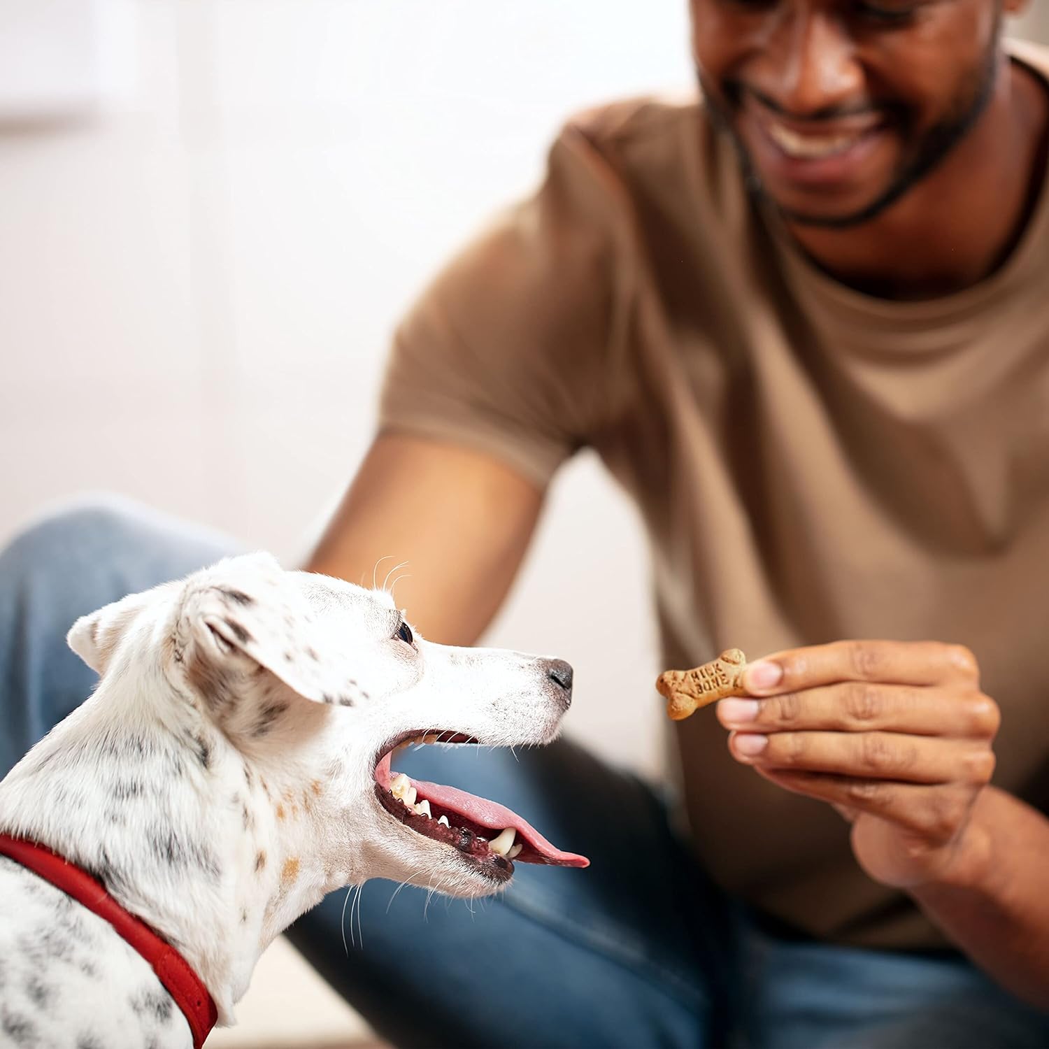 Milk-Bone Mini's Flavor Snacks Dog Treats, 15 Ounce (Pack of 6) Crunchy Texture Helps Reduce Tartar : Pet Supplies