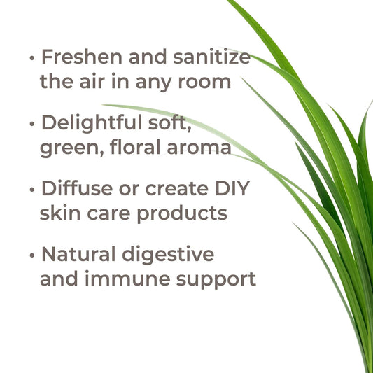 Plant Therapy Palmarosa Essential Oil 100% Pure, Undiluted, Natural Aromatherapy, Therapeutic Grade 10 Ml (1/3 Oz)