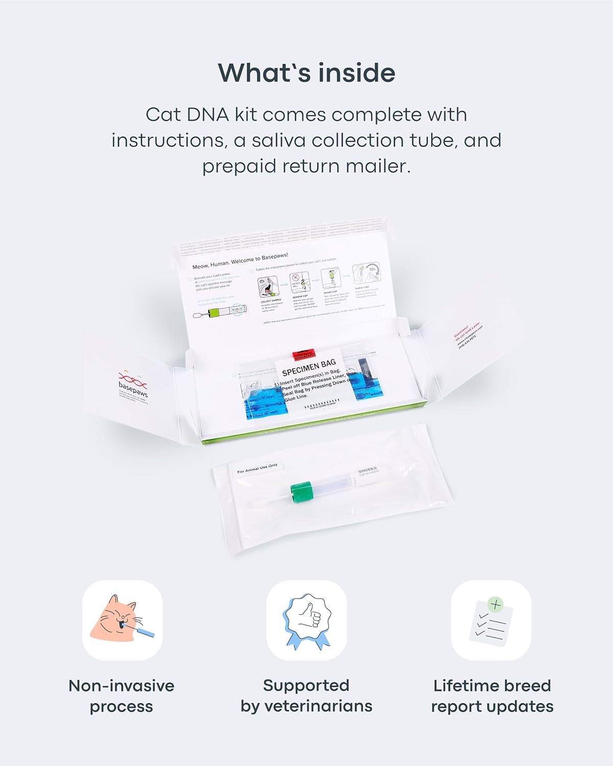 Basepaws Cat DNA Test Kit - Comprehensive Breed, Health and Dental Analysis Across 114 Traits for Accurate and Easy-to-Use Genetic Insights : Pet Supplies