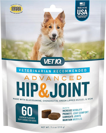 VetIQ Advanced Hip & Joint Chews For Dogs, 60 Count, Chicken Flavored Supplements Made with Glucosamine, Omega 3’s, Chondroitin, MSM, and Green Lipped Mussel, Increases Mobility and Maintains Muscles