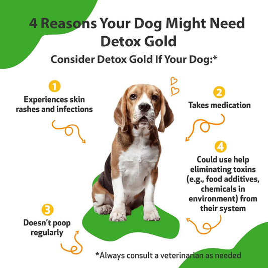 Pet Wellbeing Detox Gold For Dogs - Vet-Formulated - Gentle Detoxification & Elimination Support - Natural Herbal Supplement 2 Oz (59 Ml)