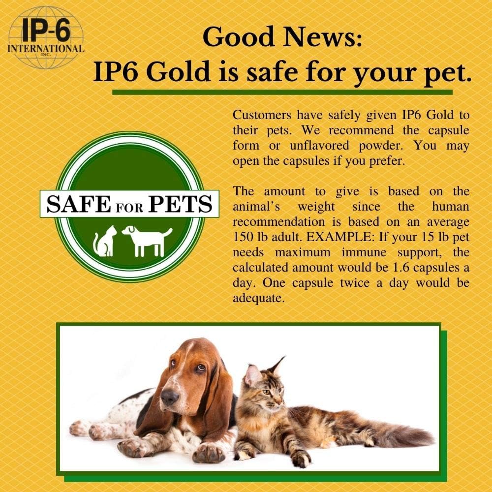 Ip6 Gold, Ip-6 & Myo-Inositol, Unflavored Powder 308 Gm - Inositol Hexaphosphate Supplement - Vegan, Non Gmo, Gluten Free : Health & Household