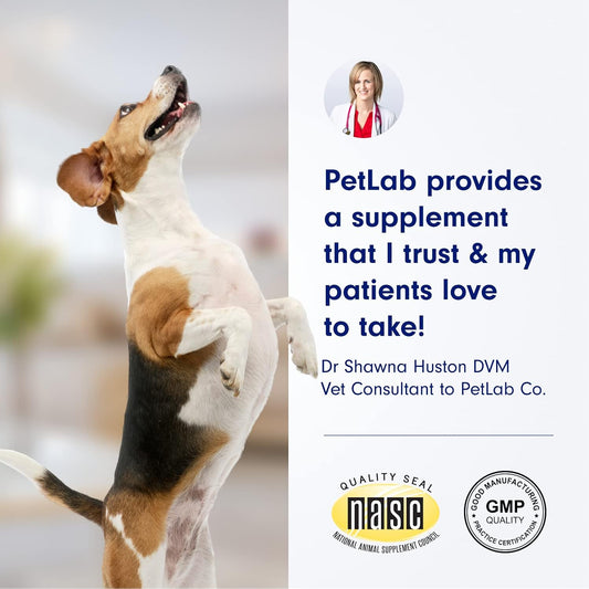 Petlab Co. Dental Sticks – Dog Dental Chews -Target Plaque & Tartar Build-Up At The Source - Designed To Maintain Your Dog’S Oral Health, Keep Breath Fresh And Provide Digestive Help (24 Sticks)