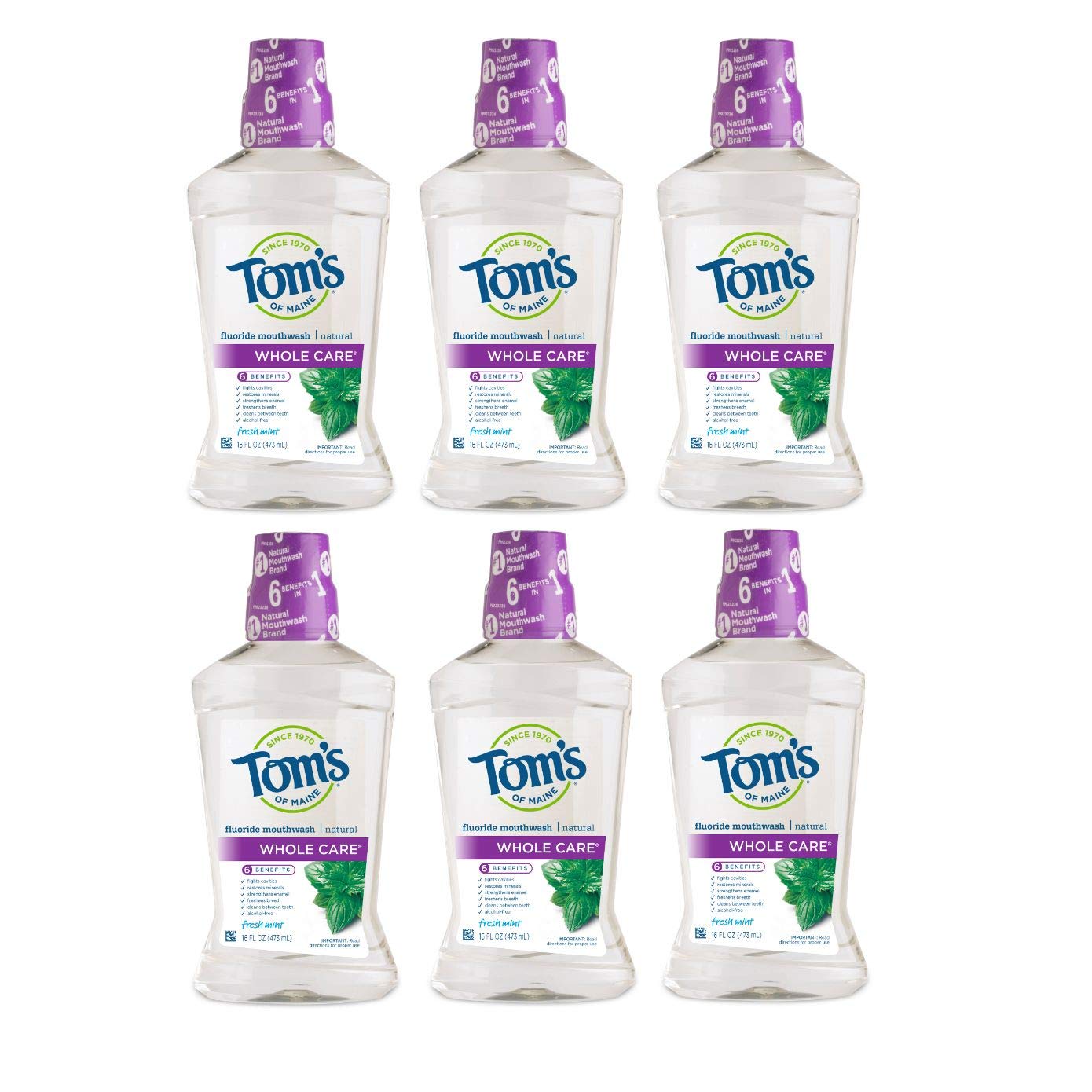 Tom'S Of Maine Whole Care Natural Fluoride Mouthwash, Fresh Mint, 16 Oz. 6-Pack (Packaging May Vary)