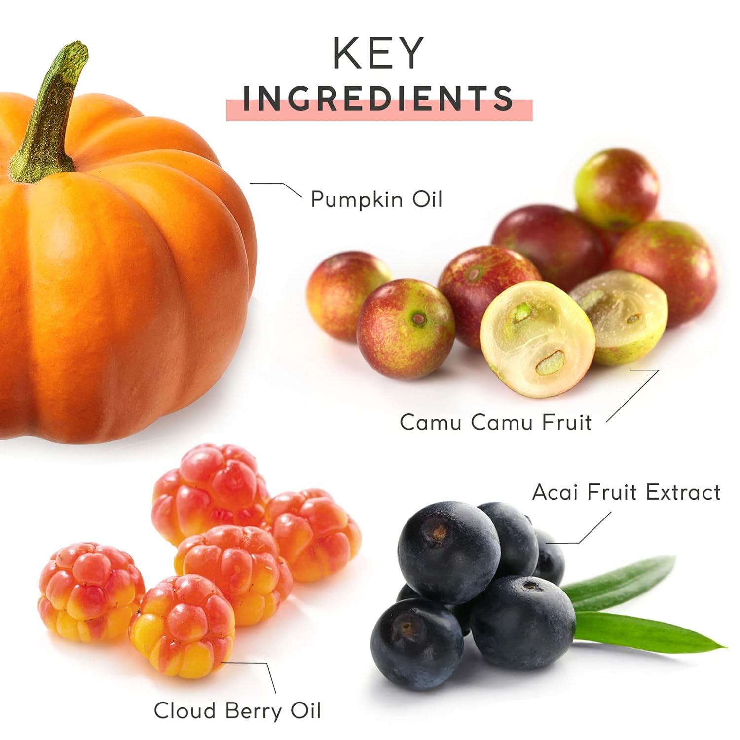 Mychelle Dermaceuticals Pumpkin Renew Cream (1.2 Fl Oz) - Daily Face Moisturizer With Pumpkin Seed Oil, Cloudberry Extract & Antioxidants - Moisturizes, Nourishes & Strengthens Skin : Beauty & Personal Care