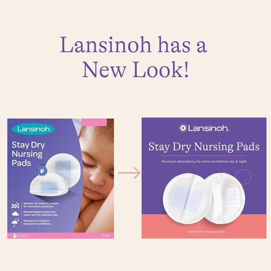 Lansinoh Stay Dry Disposable Nursing Pads, Soft And Super Absorbent Breast Pads, Breastfeeding Essentials For Moms, 240 Count