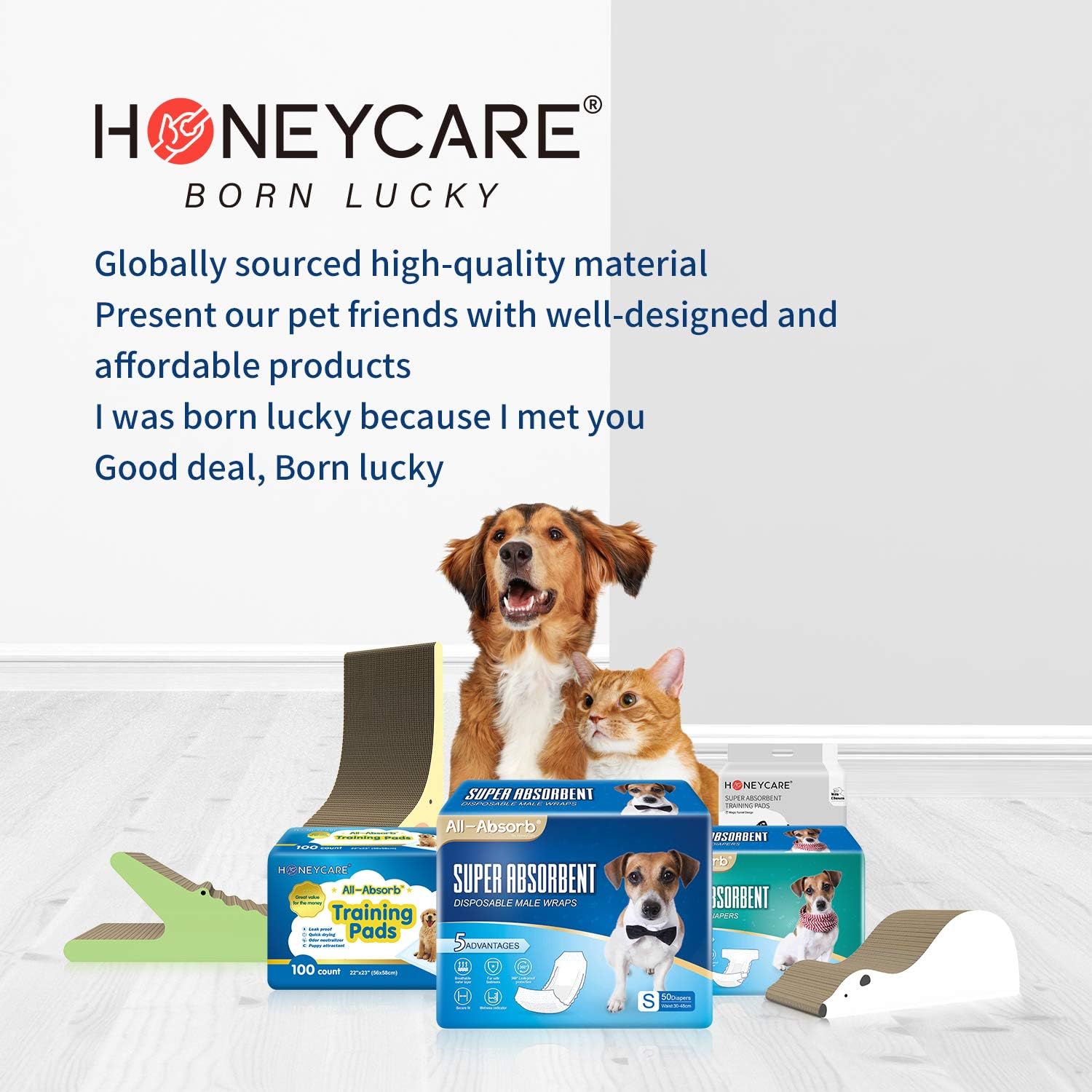 HONEY CARE All-Absorb Disposable Female Dog Diapers M Size, Improved Bigger Size, 36 Count, Super Absorbent, Breathable, Wetness Indicator : Pet Supplies