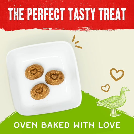 Stella & Chewy'S Freeze-Dried Raw Coated Dog Biscuits – Cage-Free Duck Recipe – Protein Rich, Grain Free Dog & Puppy Treat – Great Snack For Training & Rewarding – 9 Oz Bag