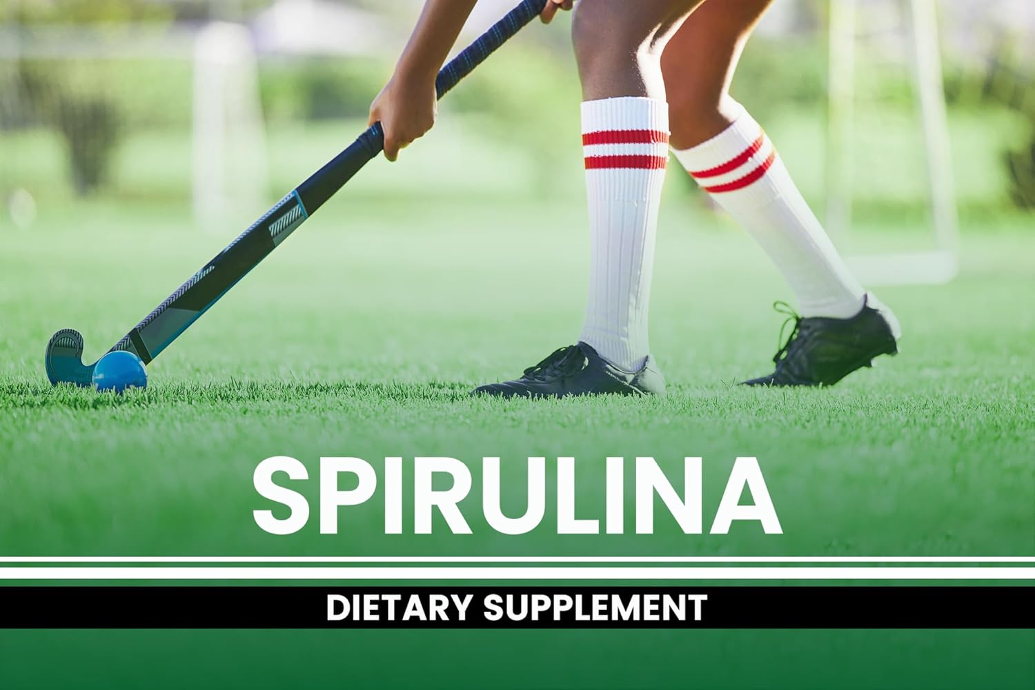 PURE ORIGINAL INGREDIENTS Spirulina (730 Capsules) No Magnesium Or Rice Fillers, Always Pure, Lab Verified : Health & Household