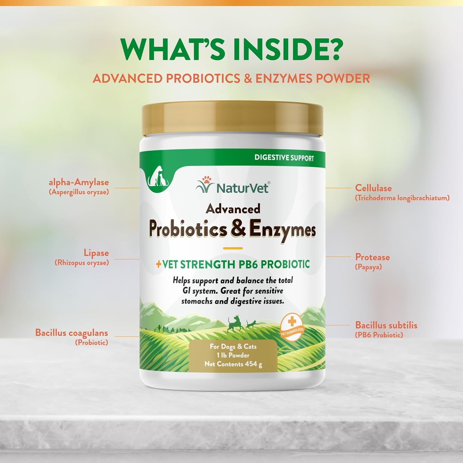 NaturVet – Advanced Probiotics & Enzymes - Plus Vet Strength PB6 Probiotic | Supports and Balances Pets with Sensitive Stomachs & Digestive Issues | for Dogs & Cats (1 lb) : Pet Supplies