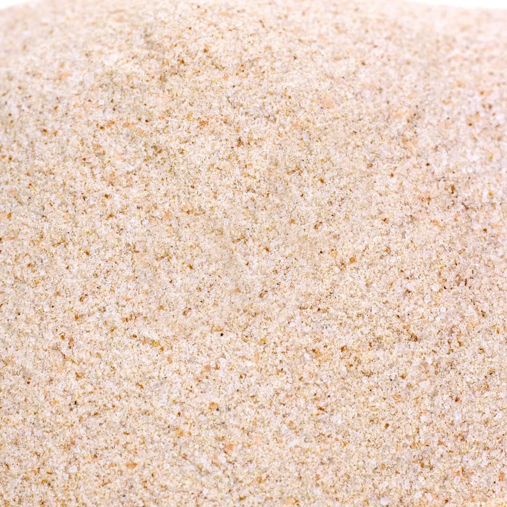 Wholefood Earth Organic Psyllium Husk Powder 500G Vegan | Gmo Free | High Fibre | High Protein | Certified Organic