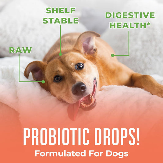 Maryruth Organics Dog Probiotic, Usda Organic Probiotic For Dogs, Dog Probiotic For Digestive Support, Supplement For Gut Health & Beneficial Bacteria, Vegan, Non-Gmo, Gluten Free, 4 Fl Oz