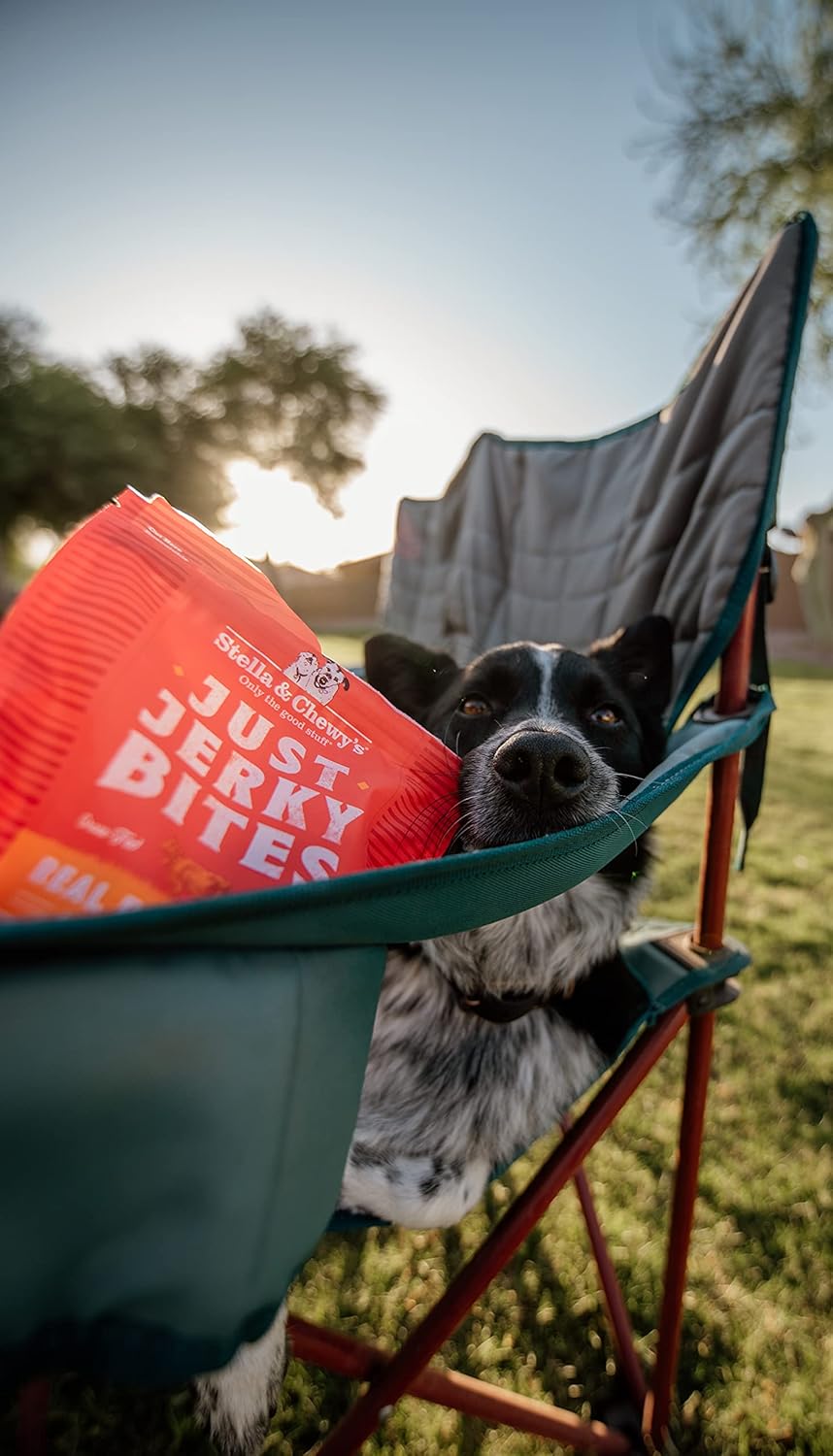Stella & Chewy's Just Jerky Bites Real Chicken Recipe Dog Treats, 6 oz. Bag : Pet Supplies