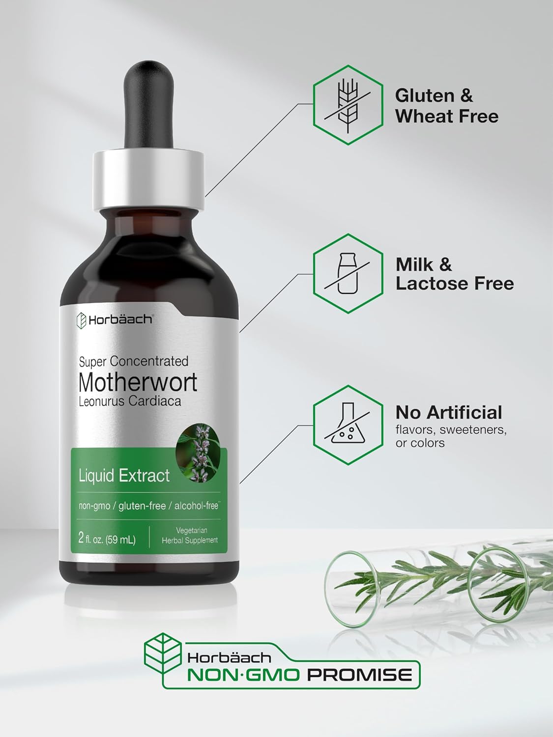 Horbäach Motherwort Herb Extract Tincture | 2 oz | Low Alcohol Liquid | Vegetarian | Leonurus Cardiaca | Non-GMO, Gluten Free : Health & Household