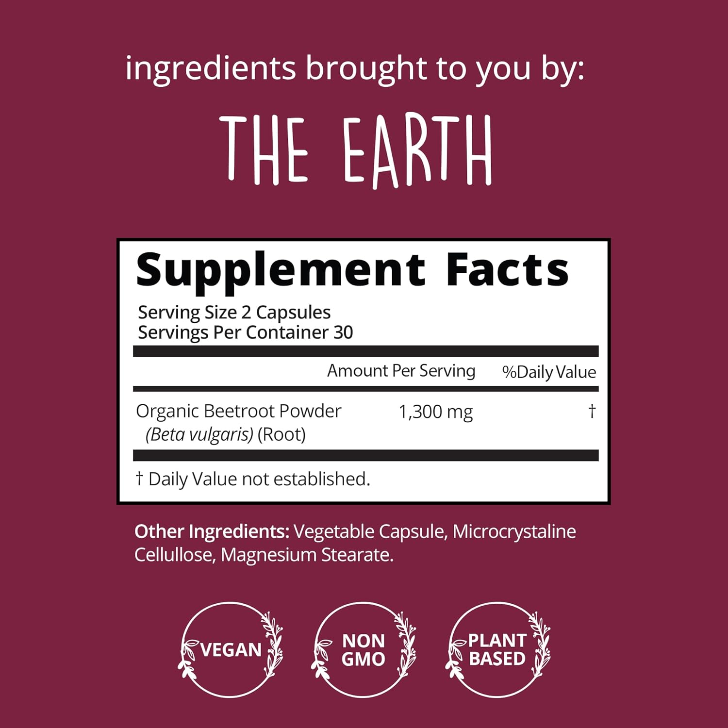 Organic Beet Root Capsules [1,300Mg Superfood] – Blood Pressure Support, Nitric Oxide Supplements For Men & Women, Flow & Circulation | Beetroot Powder, Antioxidant, Brain Food | Vegan, 60 Ct : Health & Household