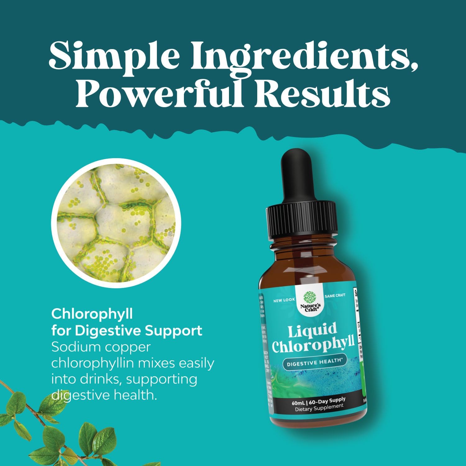 Vegan Liquid Chlorophyll Drops - Super Concentrated Mint Flavored Chlorophyll Liquid Drops - Internal Cleanser Digestive Support Immune Health and Whole Body Detox and Cleanse Support (60 Servings) : Health & Household