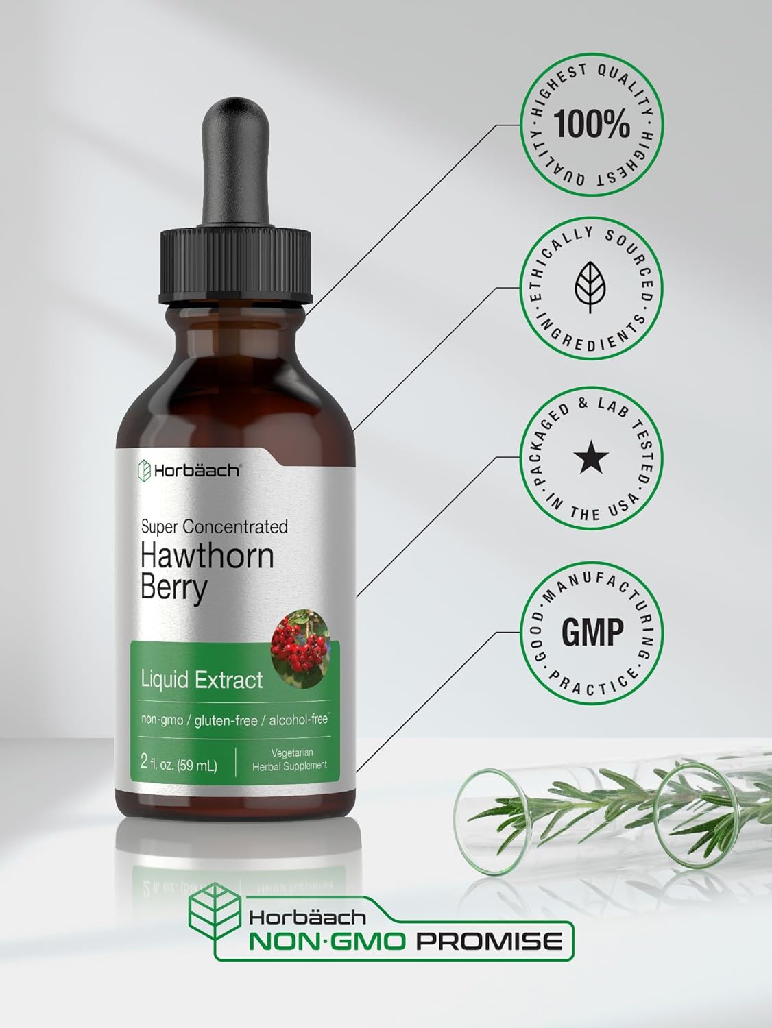 Horbäach Hawthorn Berry Extract | 2 fl oz | Alcohol Free Liquid Tincture | Vegetarian Supplement, Non-GMO, Gluten Free : Health & Household