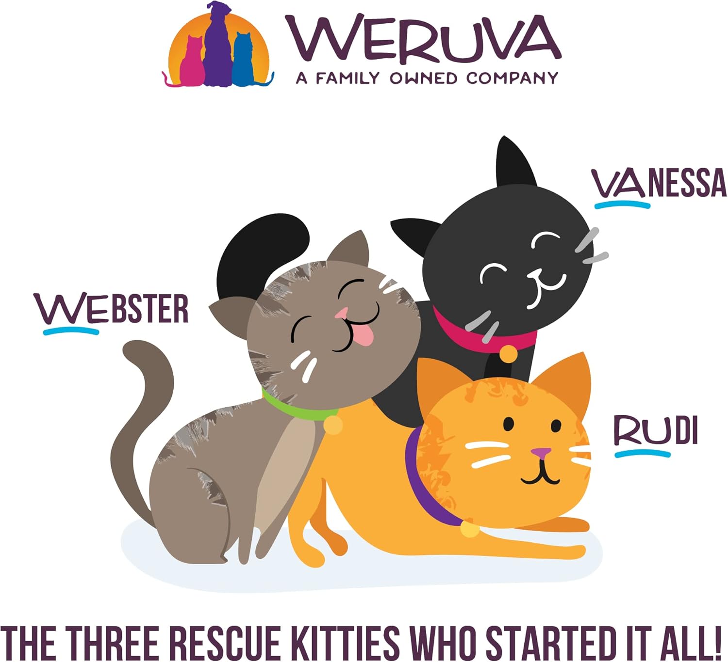 Weruva B.F.OMG - Best Feline Friend Oh My Gravy!, Tuna & Beef Baby Cakes with Tuna & Beef in Gravy Cat Food, 3oz Pouch (Pack of 12), Purple (0152) : Canned Wet Pet Food : Pet Supplies