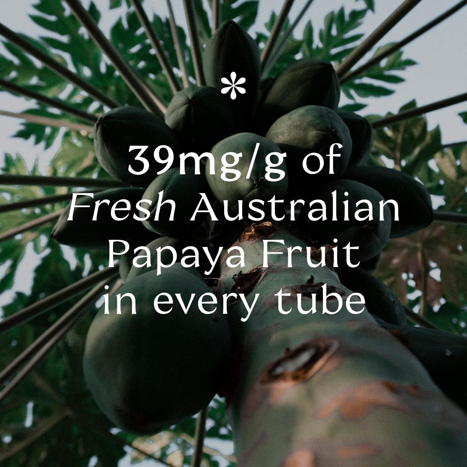 Pure Paw Paw Australian Ointment With Grape To Smooth And Soothe, Suitable For Lips, All Skin Types And Makeup 25G