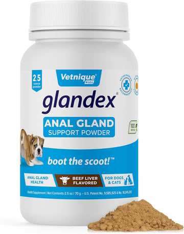 Glandex Dog Fiber Supplement Powder For Anal Glands With Pumpkin, Digestive Enzymes & Dog Probiotics For Digestive Health - Vet Recommended - Boot The Scoot (Beef Liver, 2.5Oz Powder)