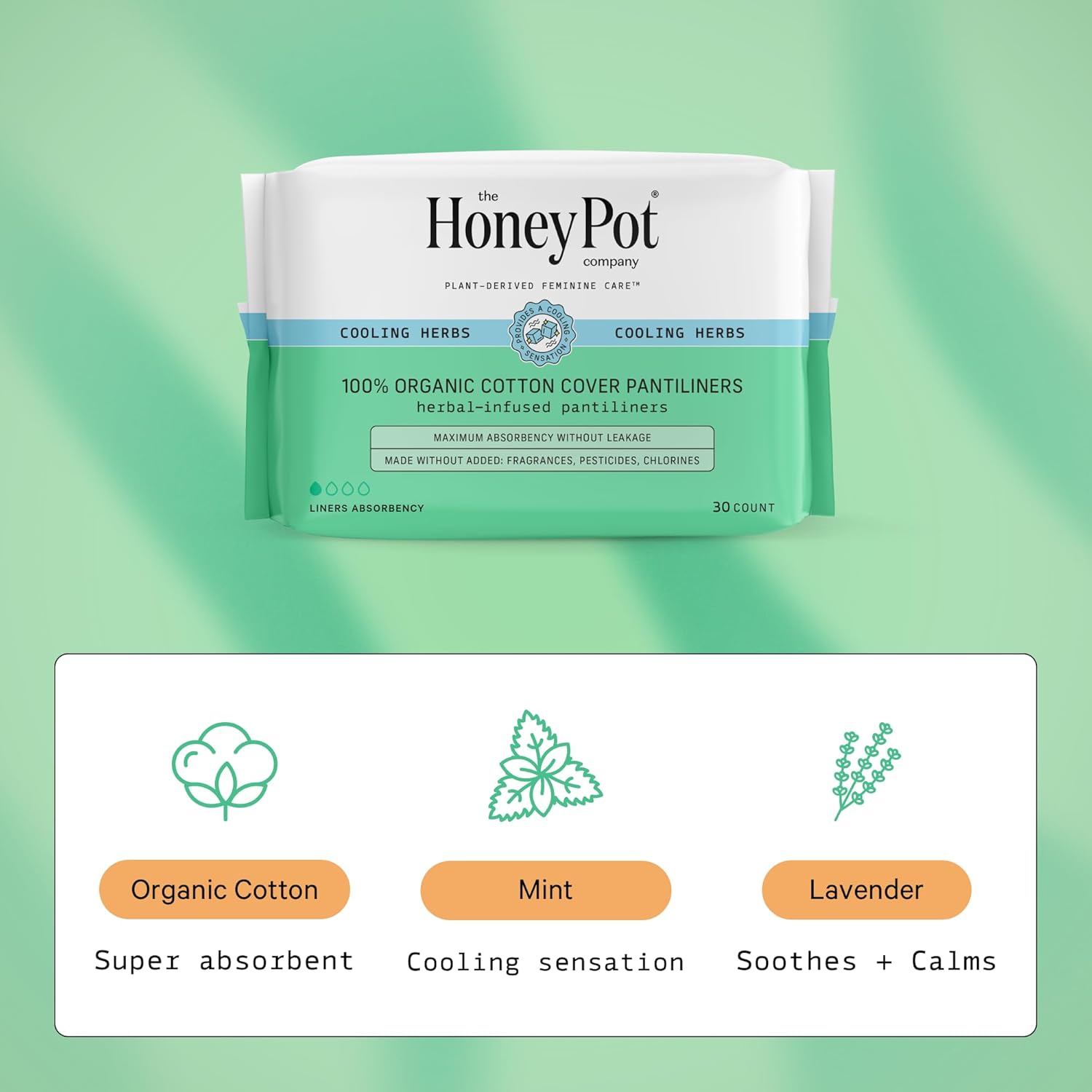 The Honey Pot Company - Herbal Pads for Women - Regular & Everyday Liners Bundle - Infused w/Essential Oils for Cooling Effect & Cotton Cover - Sanitary Pads - Feminine Care - FSA & HSA Eligible : Health & Household