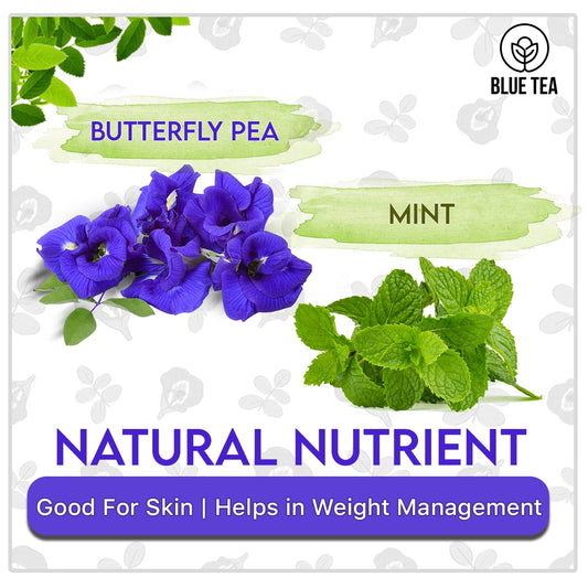 Blue Tea - Butterfly Pea Flower Tea - Mint - 30 Count | Refreshing Blend | Anti-Oxidant - Flower Based - Herbal Tea - Caffeine-Free - 100% Natural - Non-Gmo - Vegan | Eco-Conscious Tin Pack