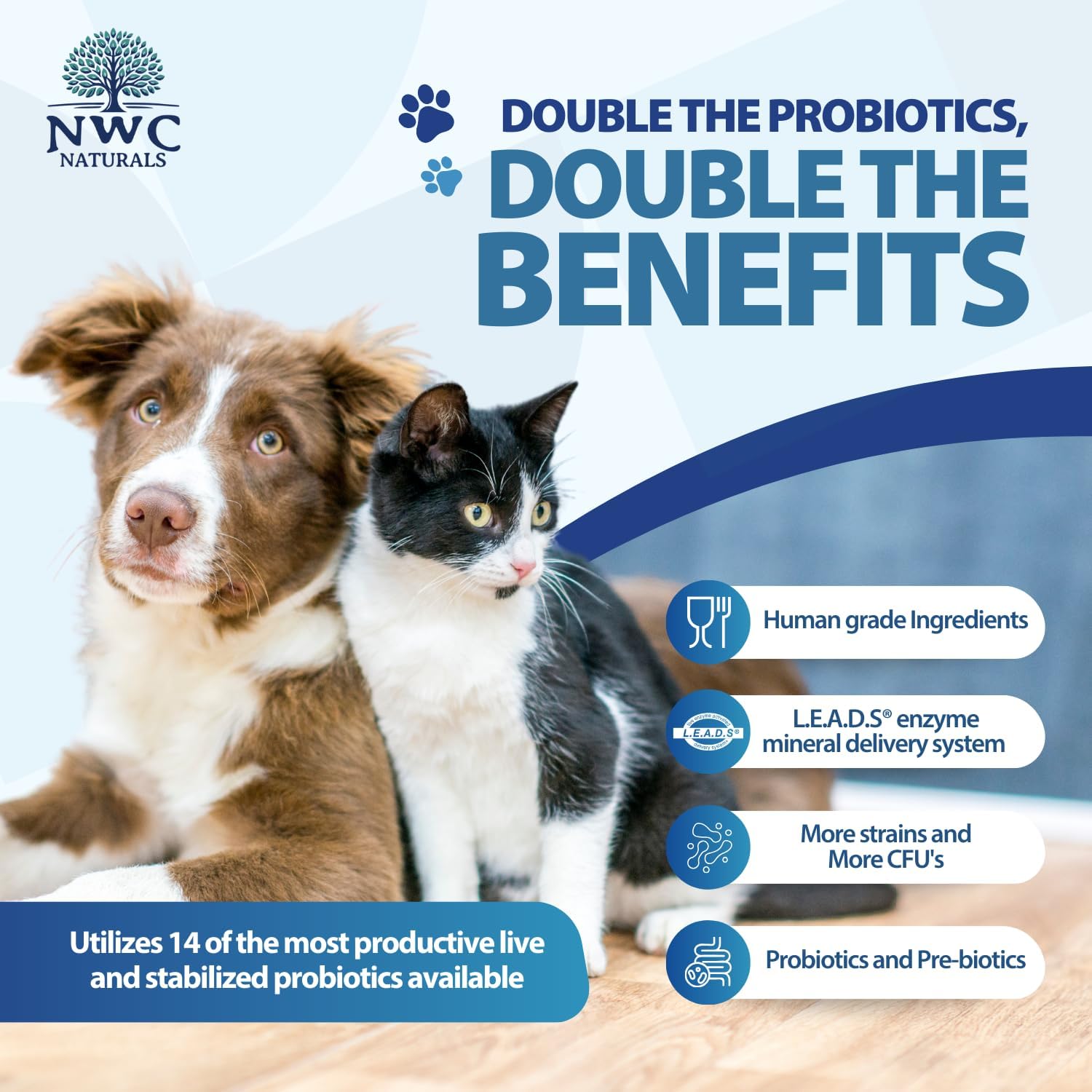 Nwc Naturals Total-Biotics, Cat & Dog Probiotics For Digestive Health With Prebiotic, Unflavored Probiotic For Dogs & Cats, Supplement For Gut, Skin, Coat, Upset Stomach Relief, 365 Servings, 8 Ounces : Pet Probiotic Nutritional Supplements : Pet Supplies
