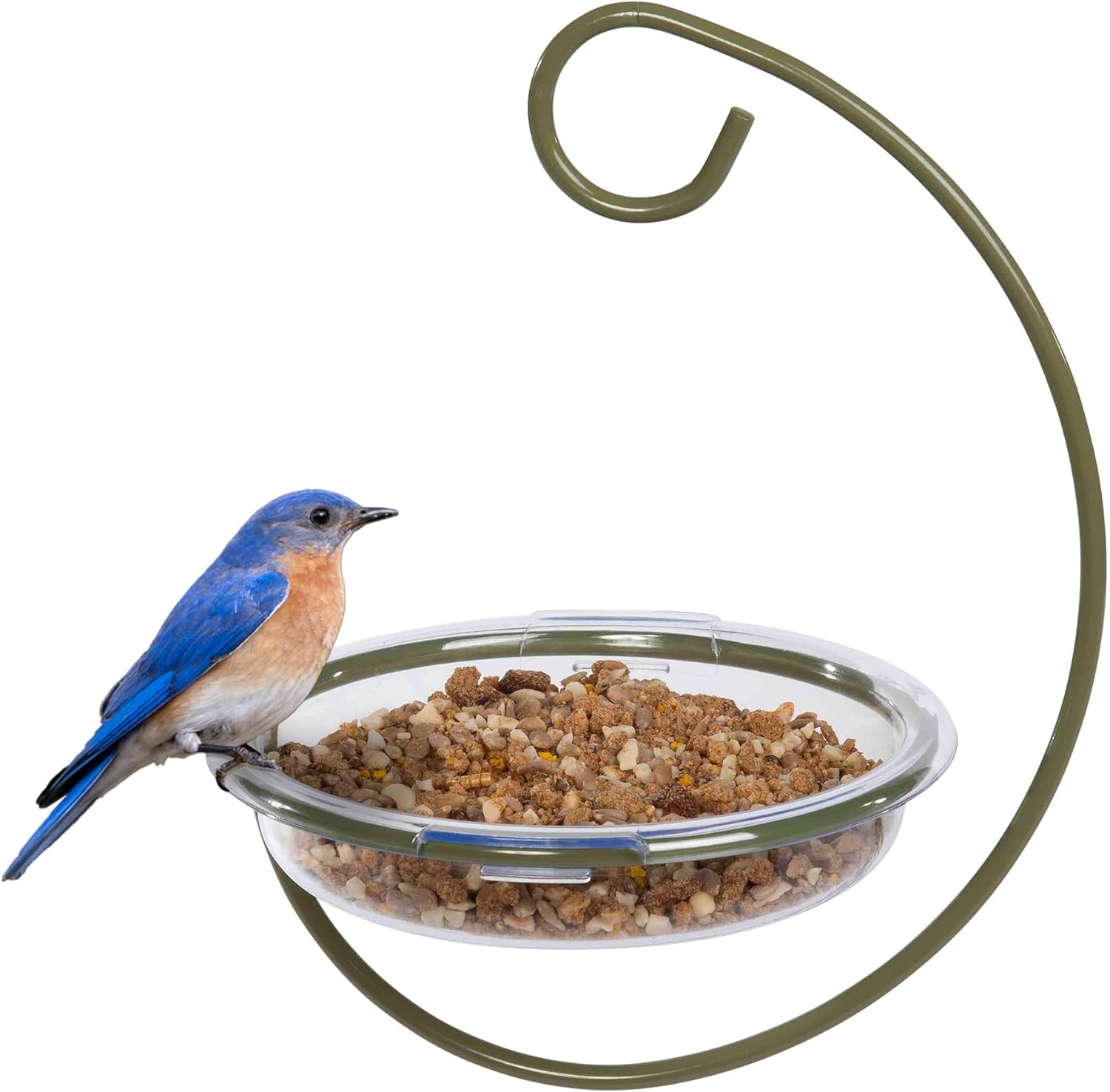 Mealworm And Robin Bird Feeder - Jacobi Jayne® Easy-Clean Hanging Treat Dish - Ideal For Bird Seed, Mealworms & Table Scraps - Hanging Bird Feeder For Wild Bird Food (Hanging Treat Dish)Ilr-Htd