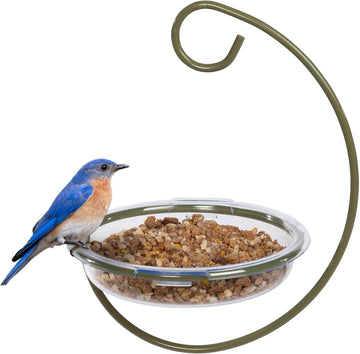 Mealworm and Robin bird feeder - Jacobi Jayne® Easy-Clean Hanging Treat Dish - Ideal for Bird Seed, Mealworms & table scraps - Hanging bird feeder for wild bird food (Hanging Treat Dish)?ILR-HTD