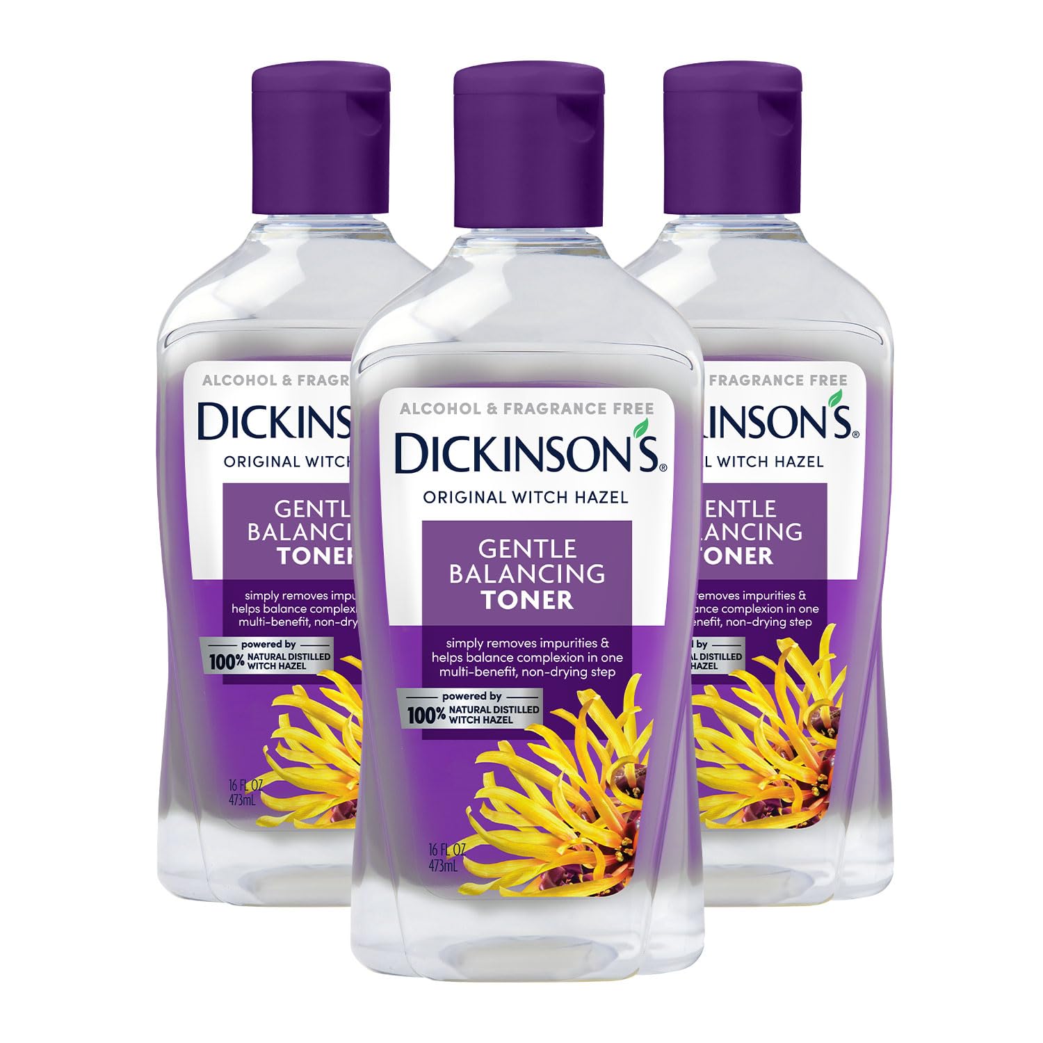 Dickinson'S Alcohol Free Gentle Balancing Toner, 16 Fl Oz