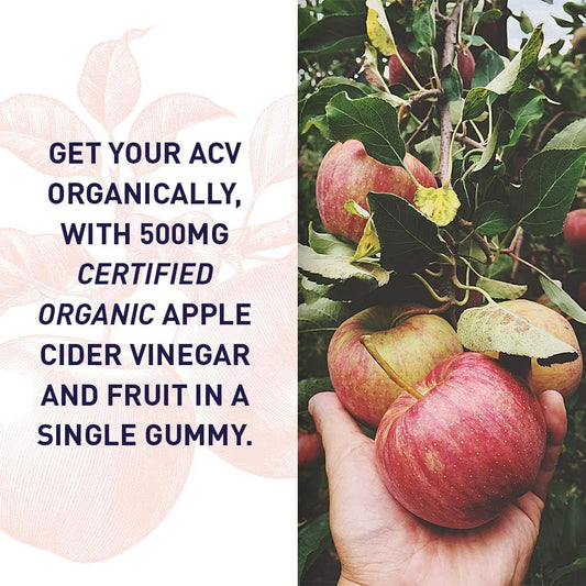 Garden Of Life Apple Cider Vinegar Gummies Usda Organic Acv Gummy Vitamins Made With Real Fruit Blend, Whole Food Vitamin B12 - Vegan, Gluten Free, Non-Gmo, Kosher - 60 Gummie