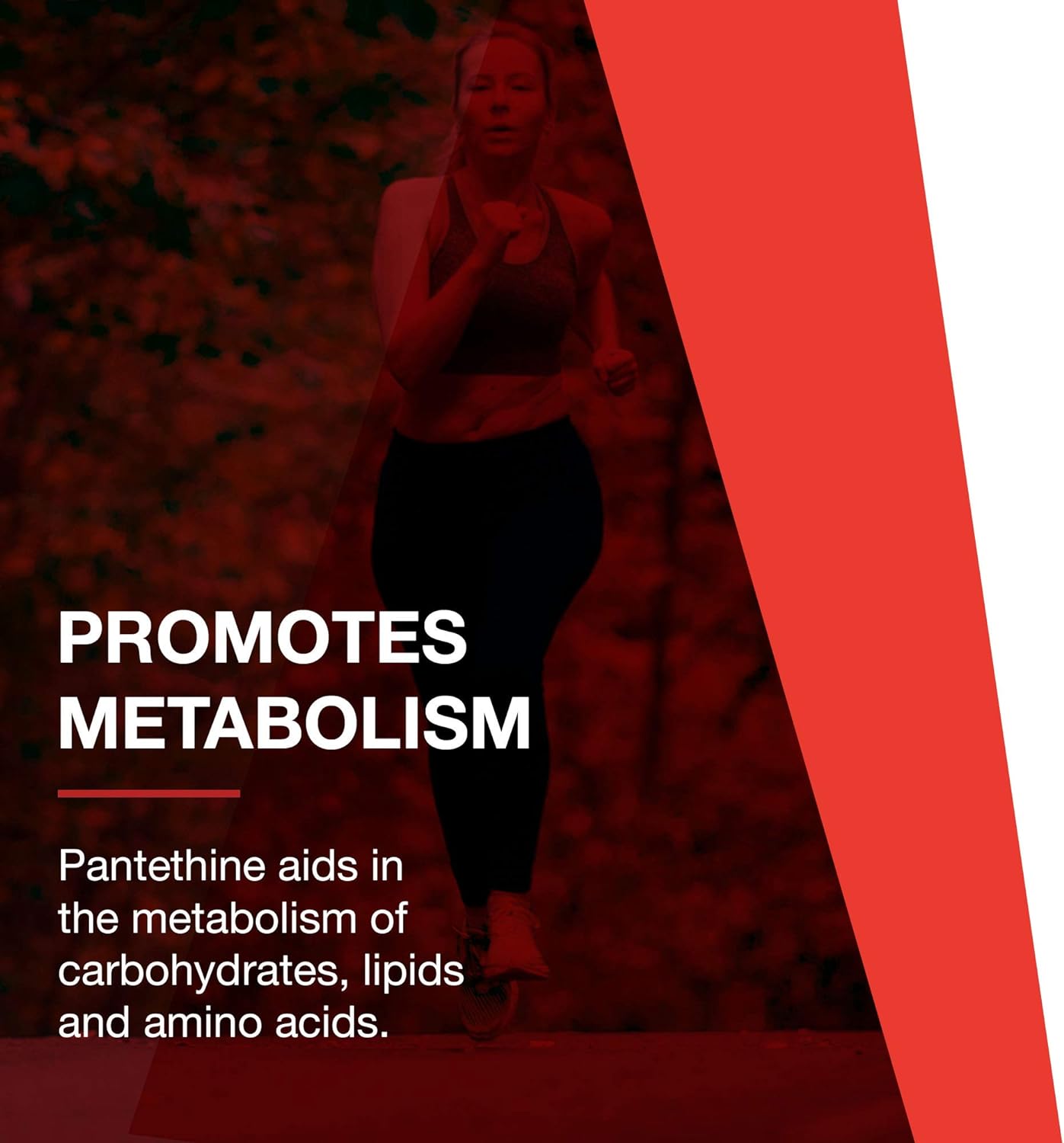 Protocol Pantethine 300mg - Active Form of Vitamin B5 - Liver Support* - Support Cholesterol Already Within Normal Range* - Pantethine Vitamin Supplement - 60 Softgels : Health & Household