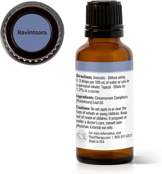 Plant Therapy Ravintsara Essential Oil 30 Ml (1 Oz) 100% Pure, Undiluted, Therapeutic Grade